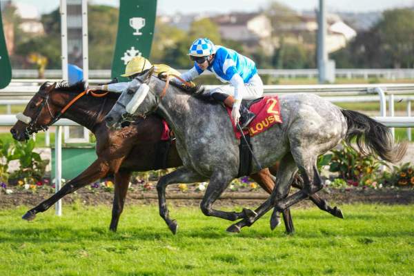 La photo de A Beauregard