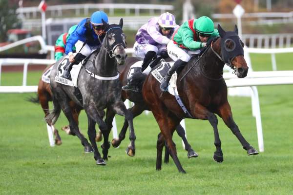 Gerard Ter Borch Arrivée Quinté+ Pmu Prix De La Seine-Et-Marne à FONTAINEBLEAU