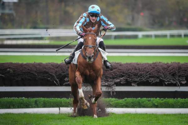 La photo de Goliath D'aunou