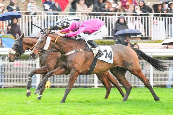 La photo de Kikounette