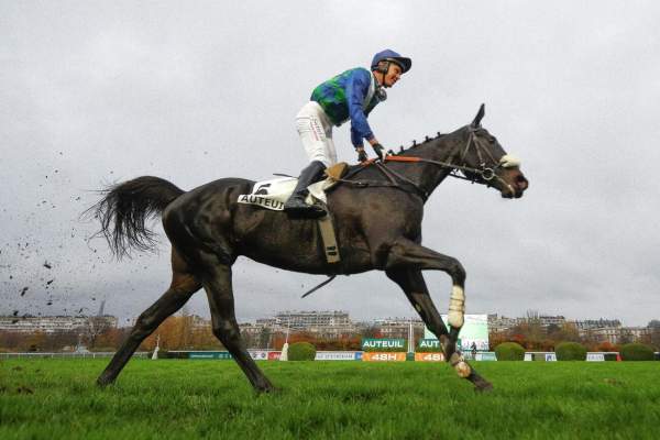 Losange Bleu Arrivée PMU Prix Serge Landon - Grand Prix d'Automne 2025 à Auteuil