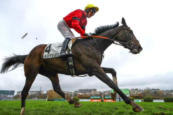 La photo de Leopard Du Berlais