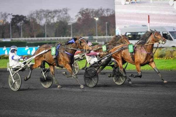 Magic Night Arrivée PMU Prix Guy Deloison à Vincennes