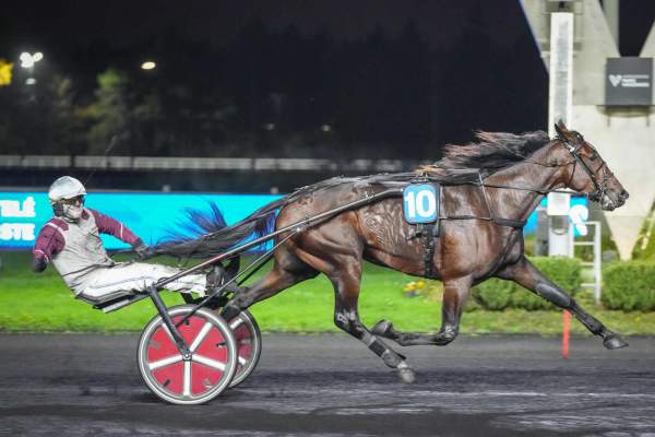 Ginostrabliggi Arrivée PMU Prix Pierre Plazen à Vincennes