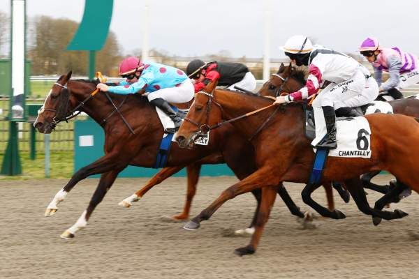 La photo de Abelard F