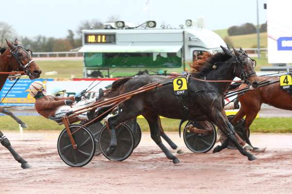 Harley Gema Arrivée Quinté+ Pmu Prix Jacques Brion - Grand National Du Trot à MAUQUENCHY