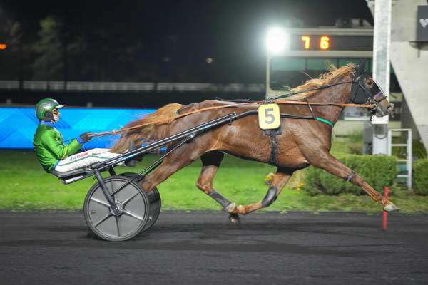 Kika Josselyn arrivée Quinté+ pmu Prix Ostara à Vincennes