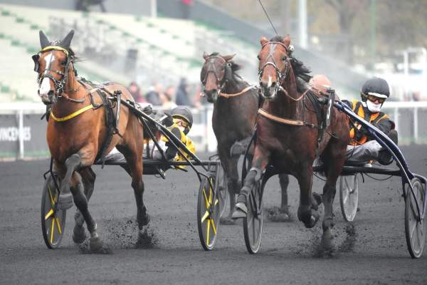 La photo de NELSON DE BUSSET