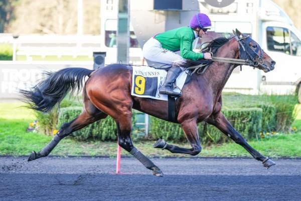 La photo de Lionheart