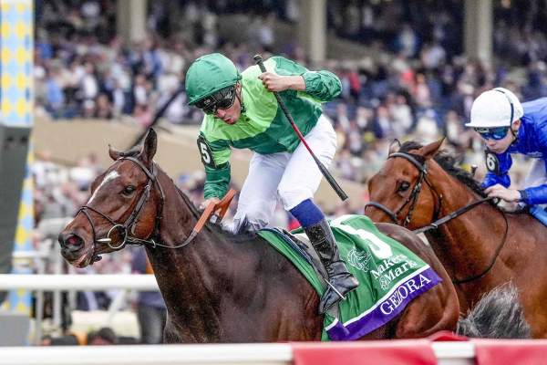 Gezora Mickel Barzalona - Francis Graffard - Breeders' Cup Filly & Mare Turf