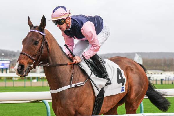 La photo de Kaleo Palace