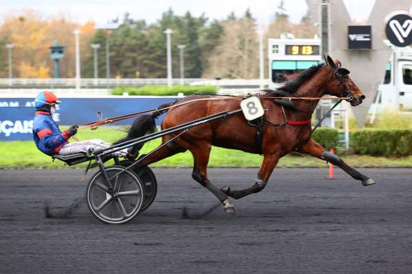 La photo de Diva Del Ronco