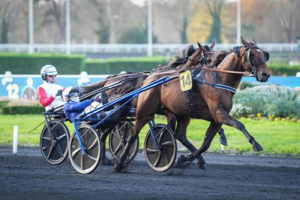Lovino Bello Arrivée Quinté+ Pmu Prix Octave Douesnel à PARIS-VINCENNES