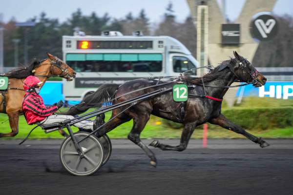Jazzman arrivée pmu Prix Narquois (Gr.III) à Vincennes