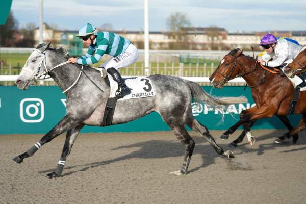 La photo de Divine Chrisnat