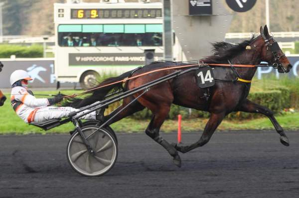 La photo de Ginger Gio