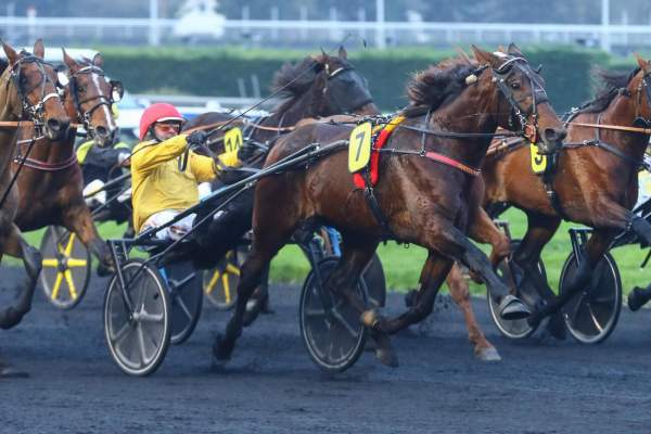 La photo de Dolce Viky