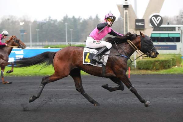 La photo de Moustik La Govelle