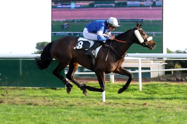 Le Colombar arrivée Quinté+ pmu Prix Philippe Lorain à Cagnes-sur-Mer