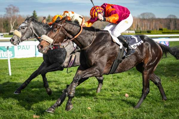 Emid'io Pepe Arrivée Quinté+ Pmu Prix Etalon Castle Du Berlais - Haras Du Lion (prix Georges Pastre) à PAU