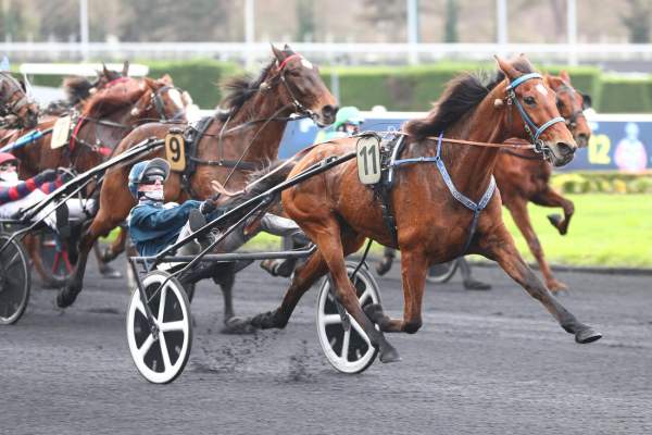 Histoire Phils Arrivée Quinté+ Pmu Prix De La Tremblade à PARIS-VINCENNES