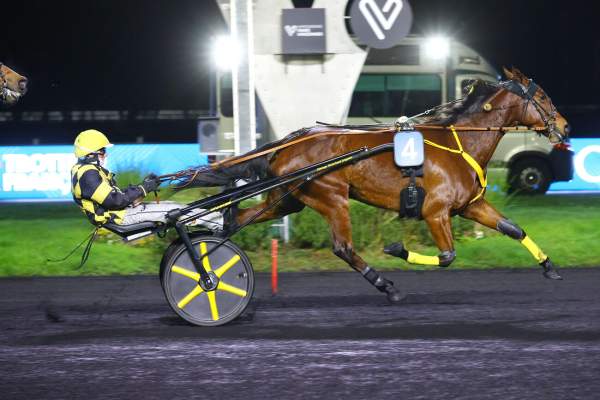 La photo de Jolydole