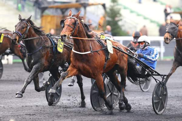 Hurricane Carter arrivée Quinté+ pmu Prix de Strasbourg à Vincennes