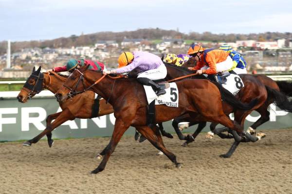 La photo de Windflower