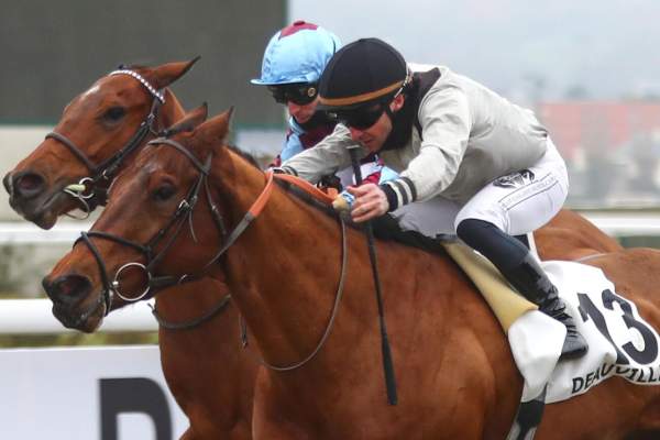 La photo de Siyouking