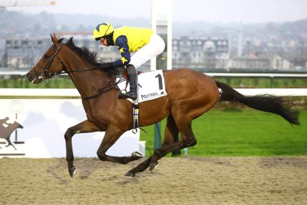 La photo de West Wind Blows