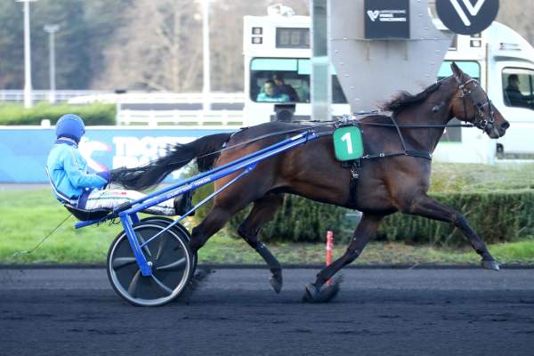 La photo de Chitchat