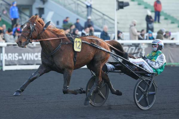 Ialto D'Hertals Arrivée Quinté+ Pmu Prix De Bar-Le-Duc à PARIS-VINCENNES