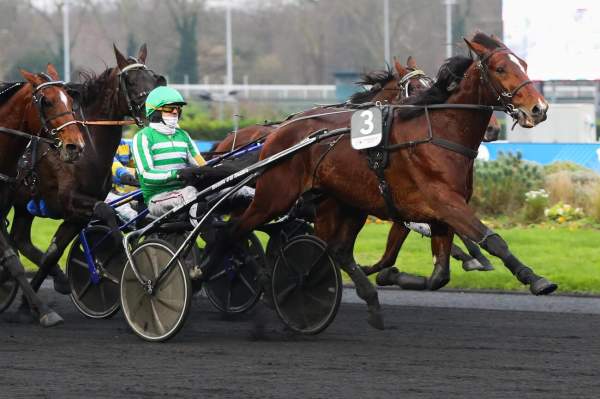 Jushua Tree arrivée Quinté+ pmu Prix de Bourgogne Amériques Races Q#( à Vincennes