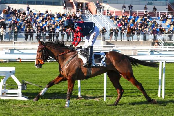 Style D'emirs Arrivée Quinté+ Pmu Prix De La Picardie à CAGNES-SUR-MER