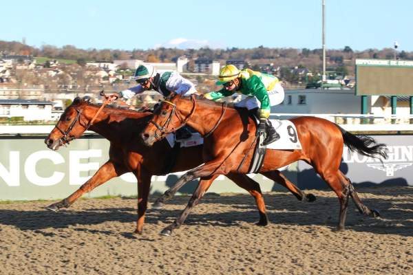 Kourpluvix Arrivée Quinté+ Pmu Prix Ouest-France à DEAUVILLE