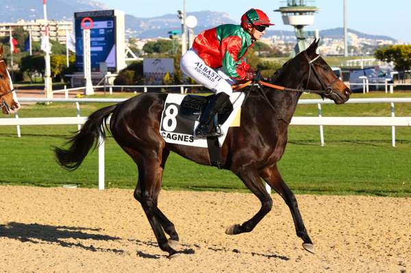 GRECIAN DESTINY