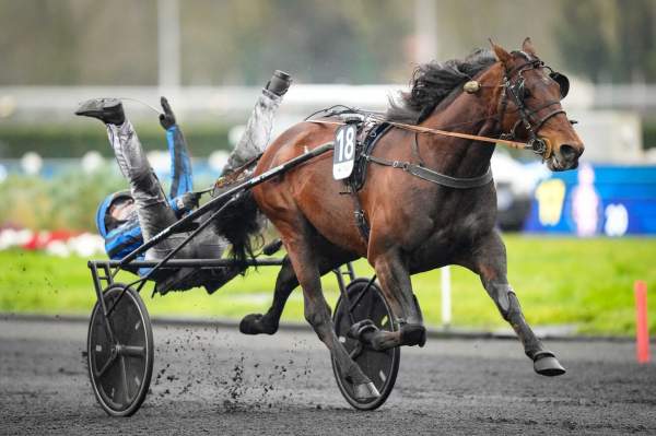 Idao De Tillard Prix d'Amérique 2025 Hippodrome de Vincennes