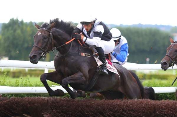 CLO DES FLOS