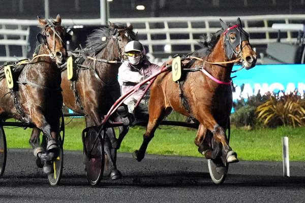 LEADER TUILERIE