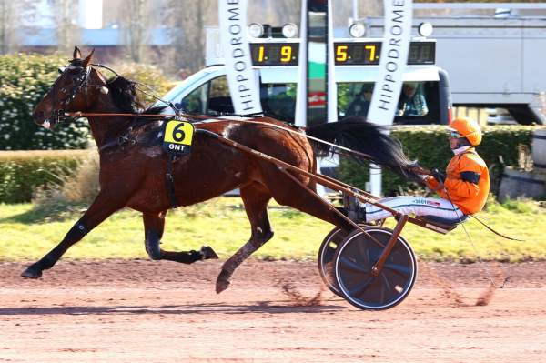 Indy De Jyr Arrivée Quinté+ Grand National du Trot 2025 étape1 Amiens