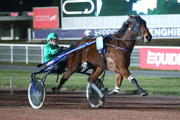 Playboy De Reve Arrivée Quinté+ PMU Prix Quick Williams à Enghien