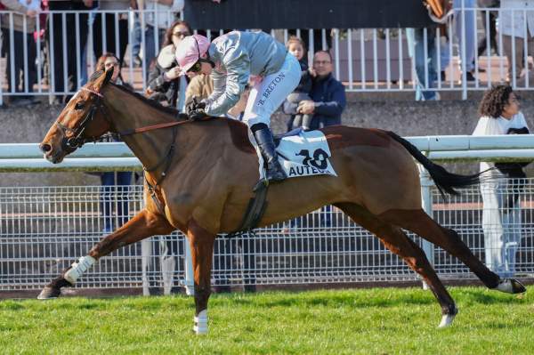 Reve De Prince arrivée Quinté+ pmu Prix Predicateur (Lr) à Auteuil