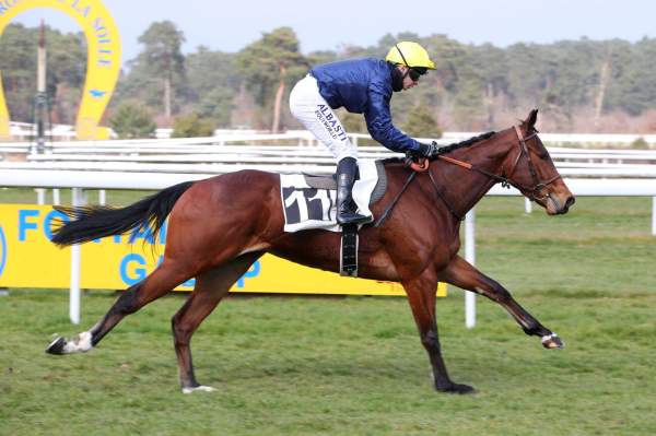 MR AMPHITRYON
