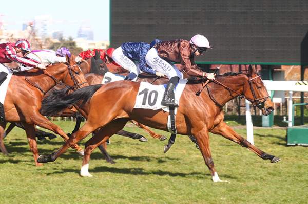 La photo de Tilila arrivée Quinté+ pmu Prix Dunette à Saint-Cloud