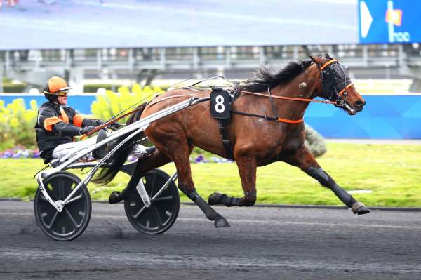 L'AMIRAL GAGNANT