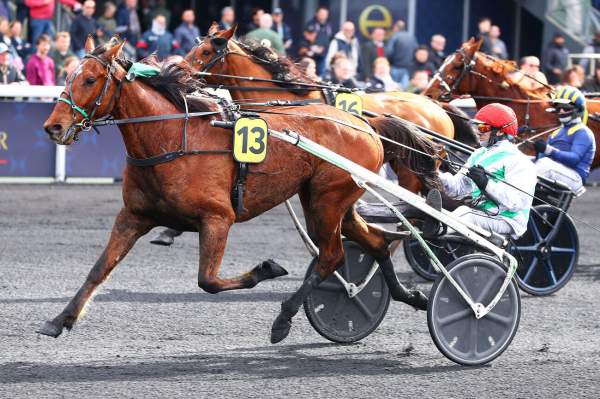 La photo de Karambar Arrivée Quinté+ Pmu Prix d’Auxerre à Vincennes