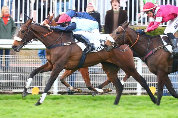 La photo de Moody Risk arrivée pmu Prix de Pepinvast (Gr.III) à Auteuil