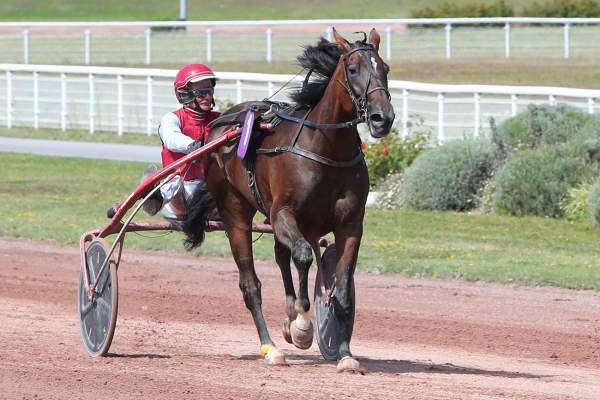 JUSTICE DE JOUDES