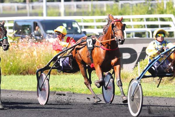 JAPPELOUP CARNOIS
