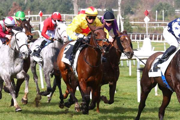 HIGHFIELD HEIRESS